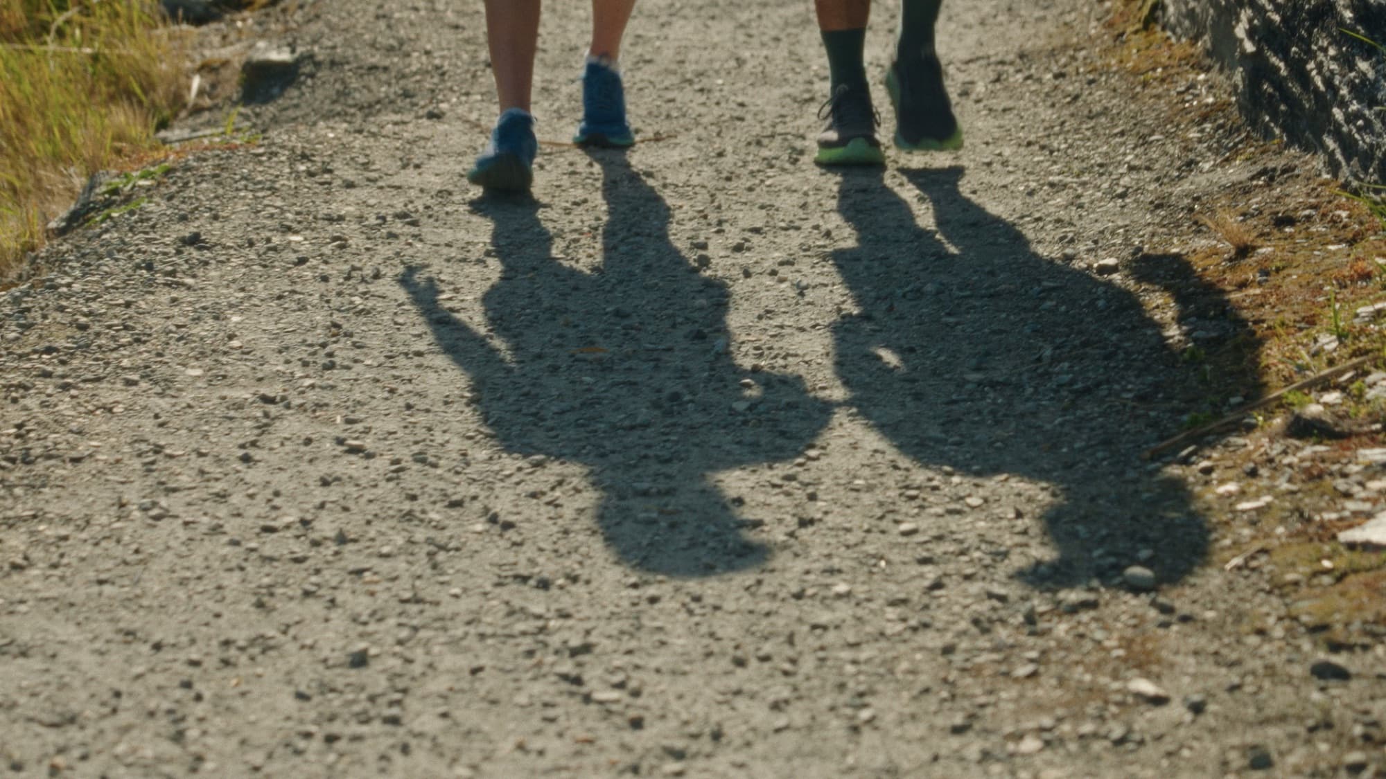 Isopress: Get Back Out There, image 5