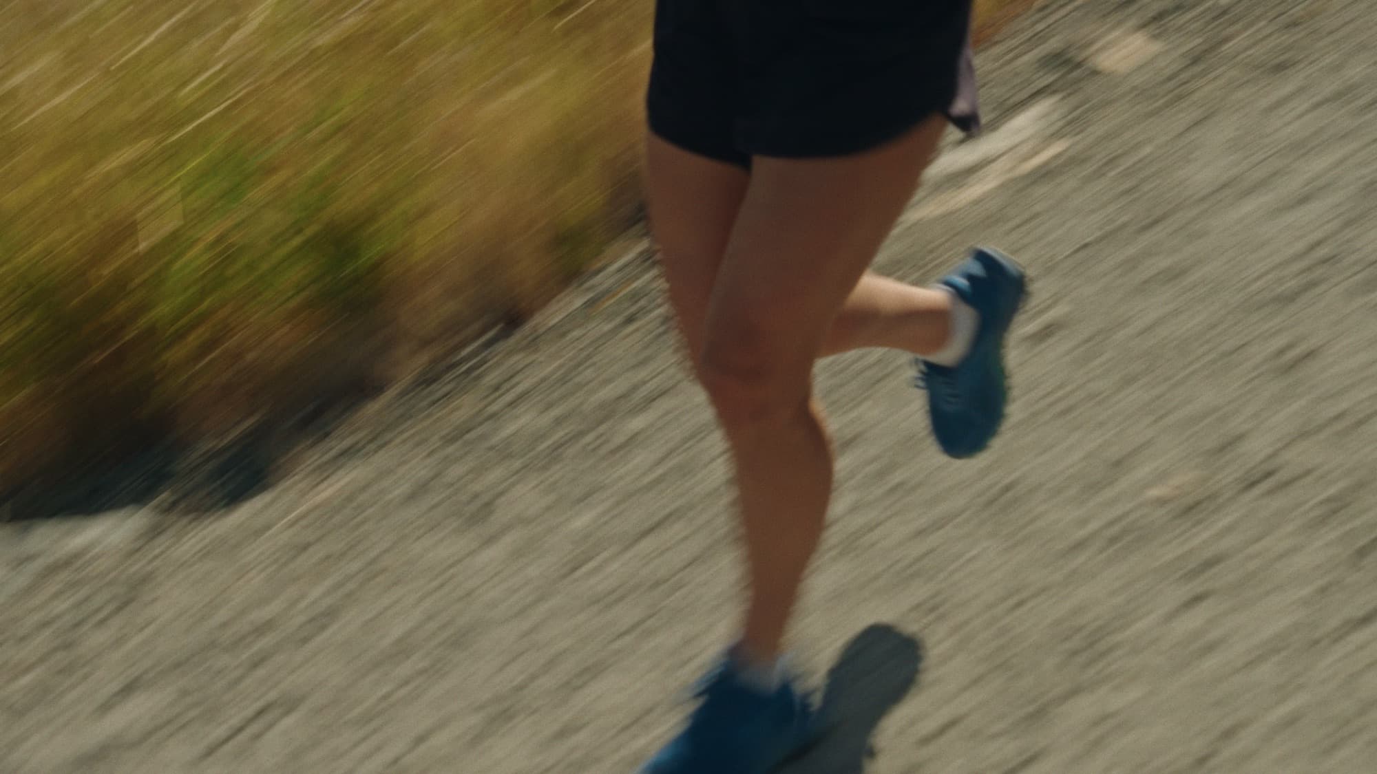 Isopress: Get Back Out There, image 3
