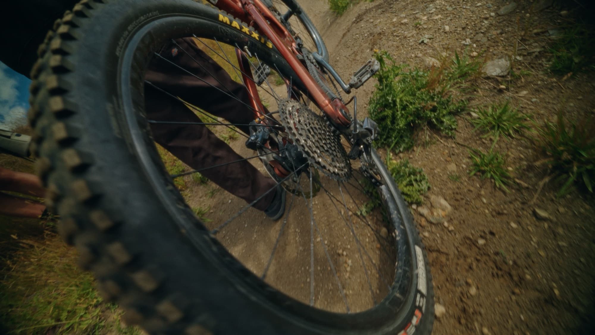 Shimano × Bike Glendhu, image 1